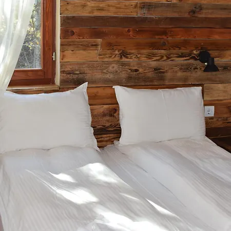 Villa Pamporovo בית נופש פמפורובו